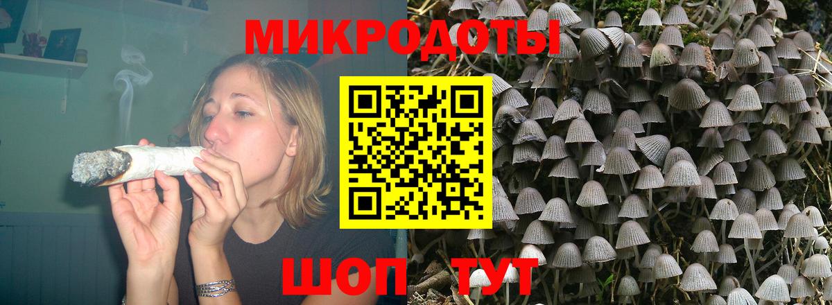 Псилоцибиновые грибы ЛСД  Галлюциногенные грибы Psilocybe  Асино  Вход с VPN 
